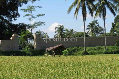 3930m2 Land in Ubud, Gianyar, Bali (981) 12