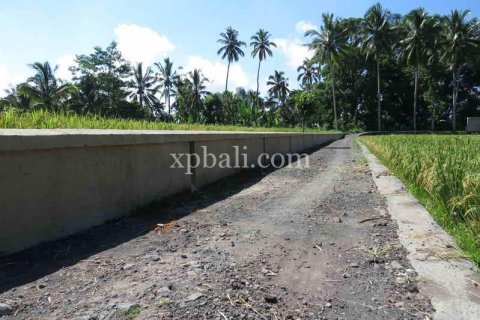 3930m2 Land in Ubud, Gianyar, Bali (981) 10
