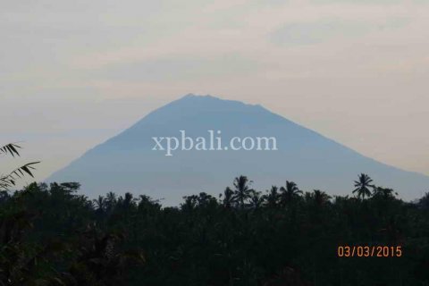 3930m2 Land in Ubud, Gianyar, Bali (981) 16