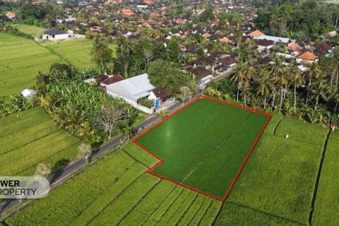 1650m2 Land in Tabanan, Bali (10038)