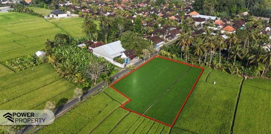 1650m2 Land in Tabanan, Bali (10038)