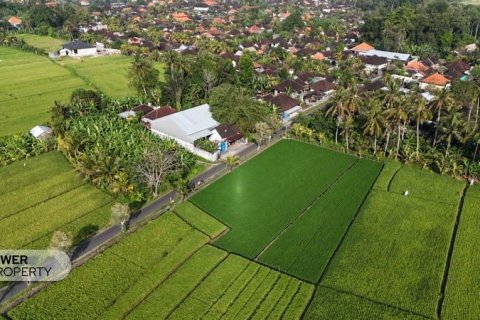 1650m2 Land in Tabanan, Bali (10038) 4