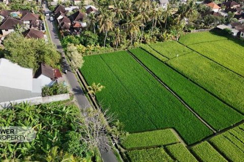1650m2 Land in Tabanan, Bali (10038) 6