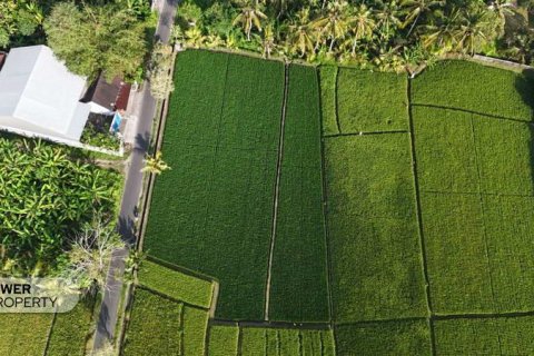 1650m2 Land in Tabanan, Bali (10038) 2