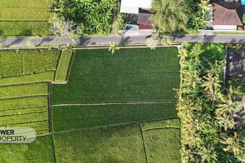 1650m2 Land in Tabanan, Bali (10038) 7