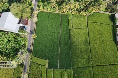 1650m2 Land in Tabanan, Bali (10038) 9