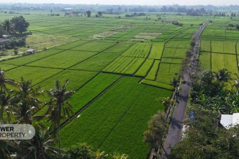 1650m2 Land in Tabanan, Bali (10038) 5