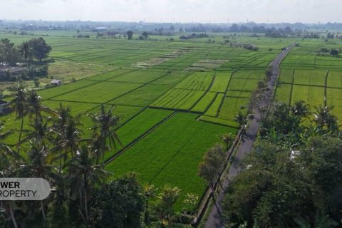 1650m2 Land in Tabanan, Bali (10038) 3