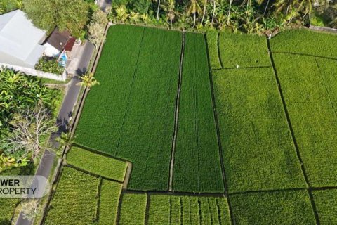 1650m2 Land in Tabanan, Bali (10038) 8
