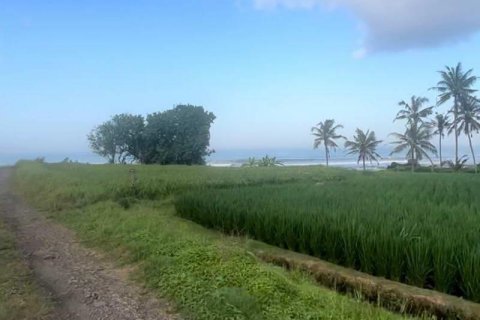 850m2 Land in Tabanan, Bali (10270) 3