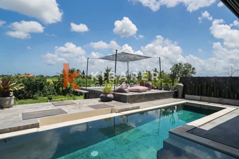 6 bedrooms Villa in Pererenan, Mengwi, Badung, Bali (13580) 5