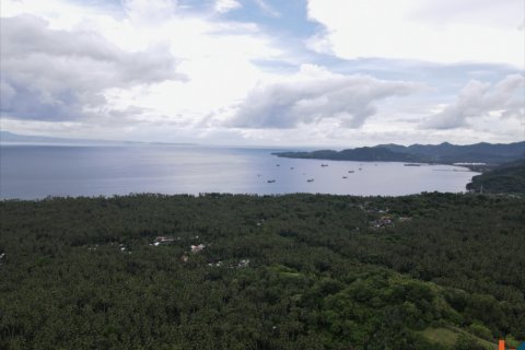 Land in Karangasem, Karang Asem, Bali (12221) 6