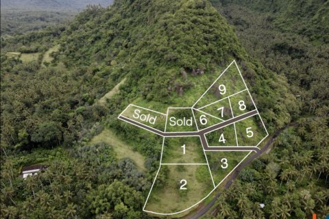 Land in Karangasem, Karang Asem, Bali (12222) 7