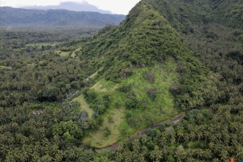 Land in Karangasem, Karang Asem, Bali (12222) 8