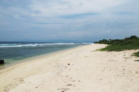 Land in Bali (11489)