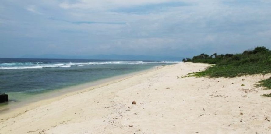 Land in Bali (11489)