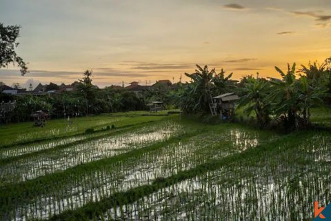 5 bedrooms Villa in Kerobokan, Badung, Bali (11546) 10