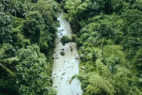 Land in Tabanan, Bali (11547) 6
