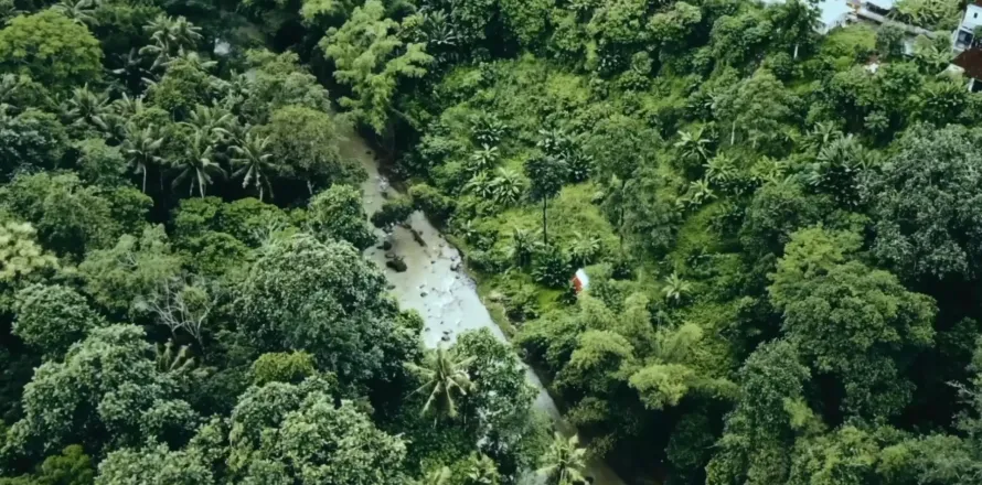 Land in Tabanan, Bali (11547)