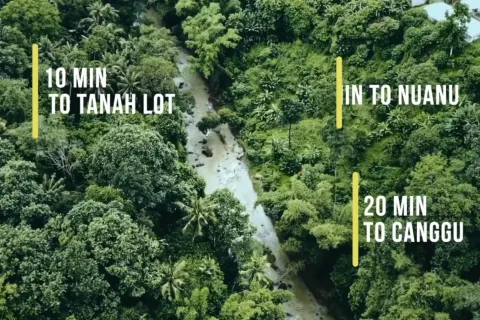 Land in Tabanan, Bali (11548) 3