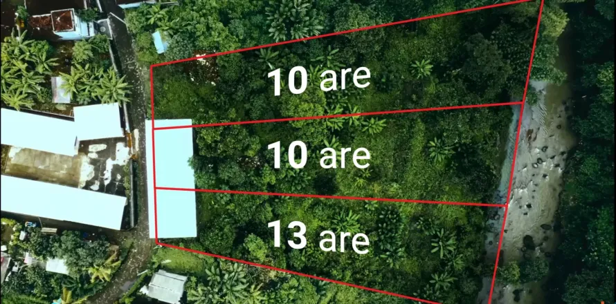 Land in Tabanan, Bali (11548)
