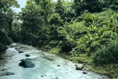 Land in Tabanan, Bali (11548) 6