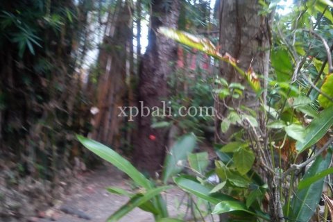 1050m2 Land in Seminyak, Badung, Bali (989) 12