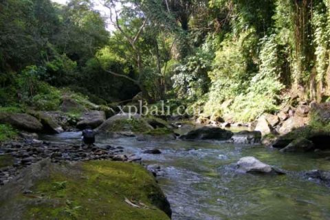 Tanah kavling 38000m2 di Ubud, Gianyar, Bali (986)