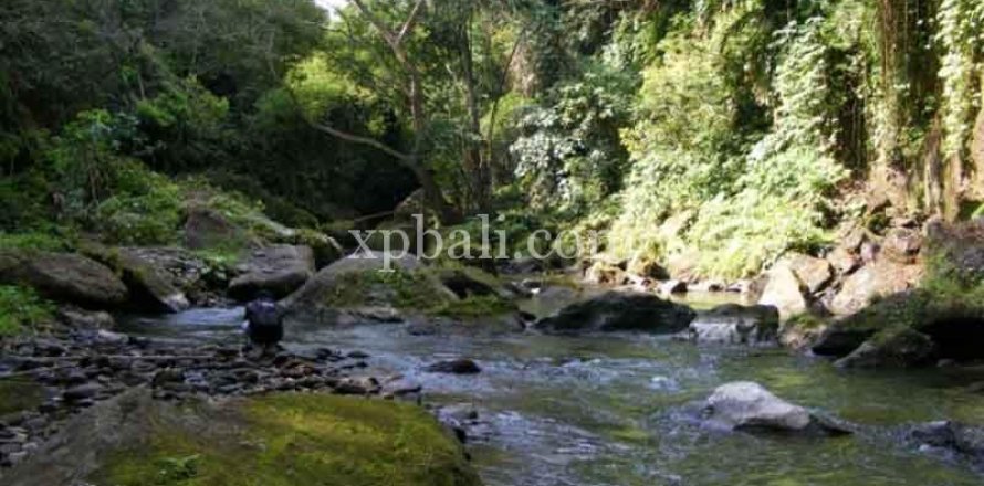 Tanah kavling 38000m2 di Ubud, Gianyar, Bali (986)