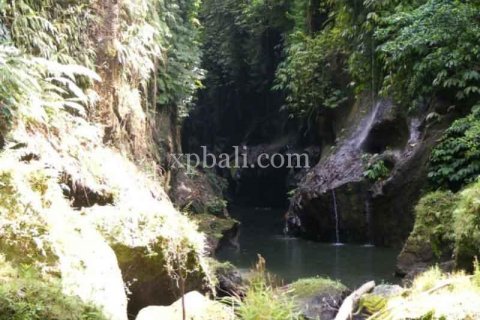 Tanah kavling 38000m2 di Ubud, Gianyar, Bali (986) 12