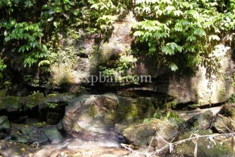 Tanah kavling 38000m2 di Ubud, Gianyar, Bali (986) 13