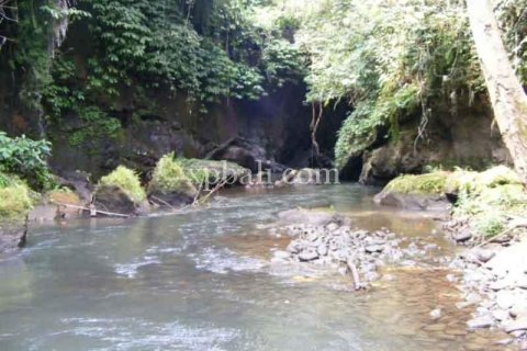 Tanah kavling 38000m2 di Ubud, Gianyar, Bali (986) 9
