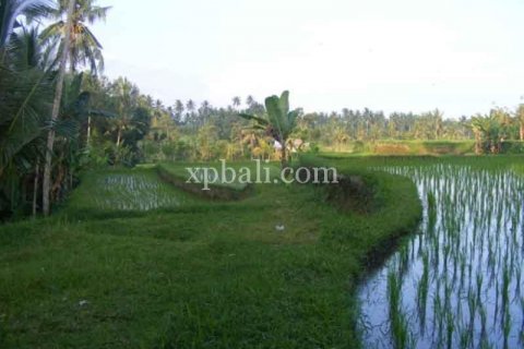 Tanah kavling 38000m2 di Ubud, Gianyar, Bali (986) 15