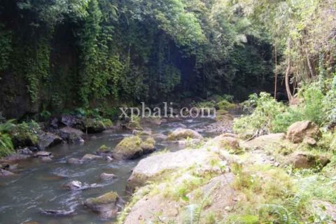 Tanah kavling 38000m2 di Ubud, Gianyar, Bali (986) 11