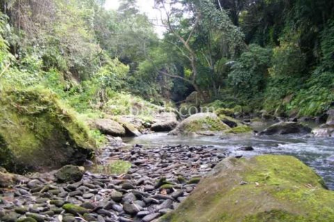 Tanah kavling 38000m2 di Ubud, Gianyar, Bali (986) 8