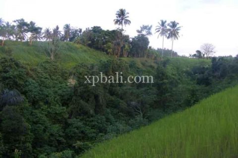 Tanah kavling 38000m2 di Ubud, Gianyar, Bali (986) 7