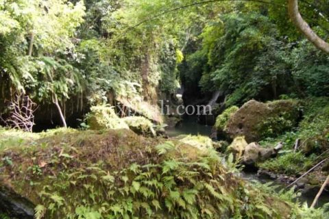Tanah kavling 38000m2 di Ubud, Gianyar, Bali (986) 10