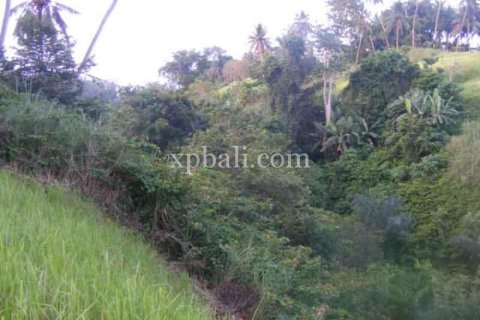 Tanah kavling 38000m2 di Ubud, Gianyar, Bali (986) 6