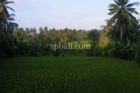 Tanah kavling 38000m2 di Ubud, Gianyar, Bali (986) 4