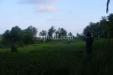 Tanah kavling 38000m2 di Ubud, Gianyar, Bali (986) 3