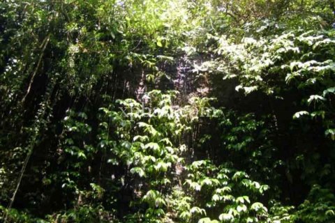 Tanah kavling 38000m2 di Ubud, Gianyar, Bali (986) 14