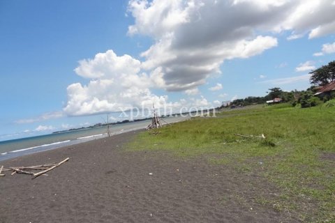 11950m2 Land in Gianyar, Bali (988) 12