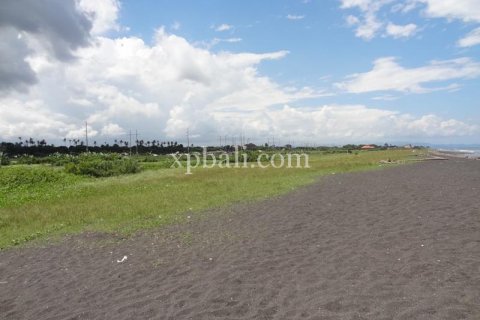 11950m2 Land in Gianyar, Bali (988) 10