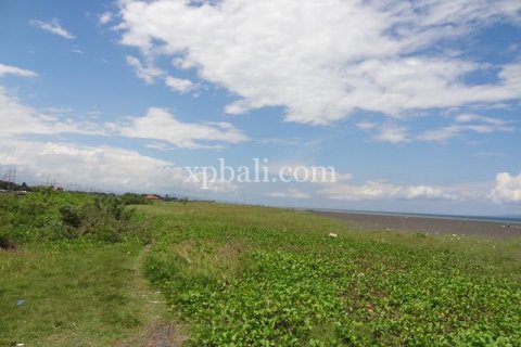11950m2 Land in Gianyar, Bali (988) 2