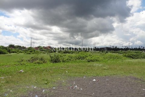 11950m2 Land in Gianyar, Bali (988) 11