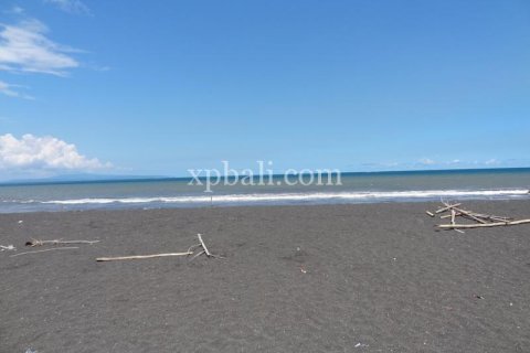 11950m2 Land in Gianyar, Bali (988) 13