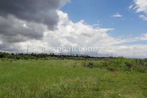 11950m2 Land in Gianyar, Bali (988) 3