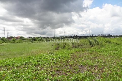 11950m2 Land in Gianyar, Bali (988) 6