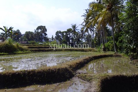 Tanah kavling 15000m2 di Ubud, Gianyar, Bali (990)