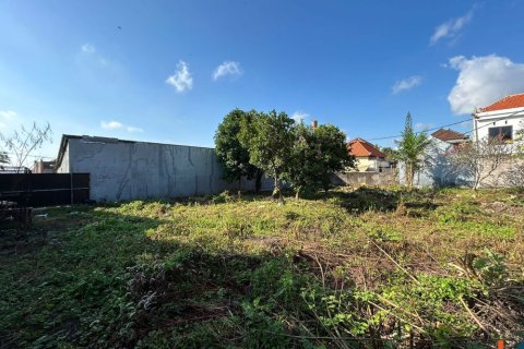 Land in Denpasar, Bali (11465) 2